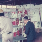 地鎮祭